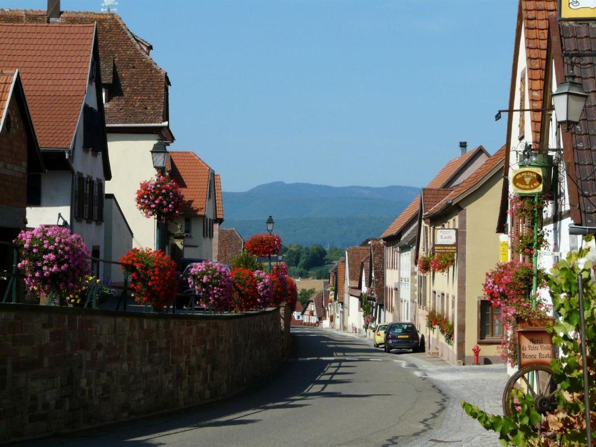 Hotel Et Spa Du Scharrach Scharrachbergheim-Irmstett Eksteriør billede
